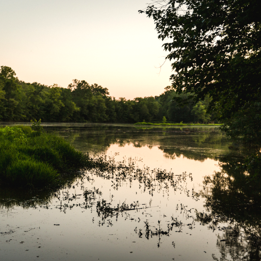 A peaceful scene of a river inlet with trees, marsh grass and reflections in the still water.