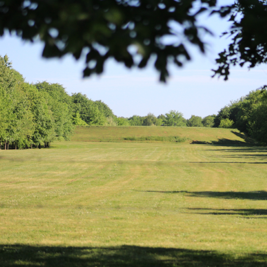 A low American-Indian mound in a field surrounded by green trees.