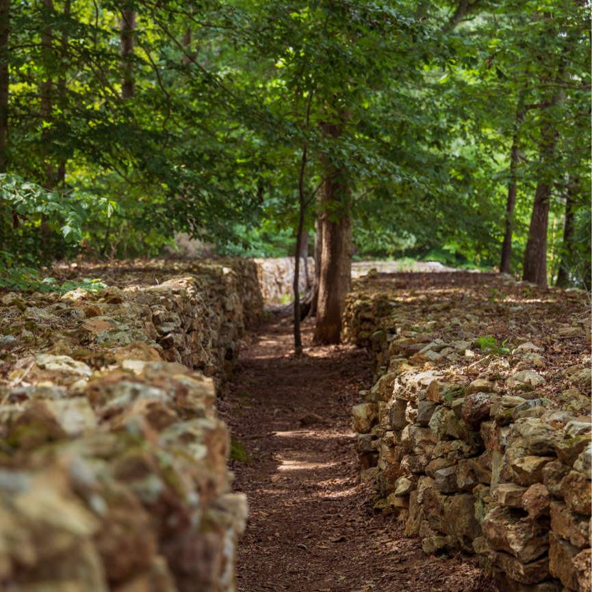 Tom's Wall -- waist-high stone walls bordering a path in a wooded area.